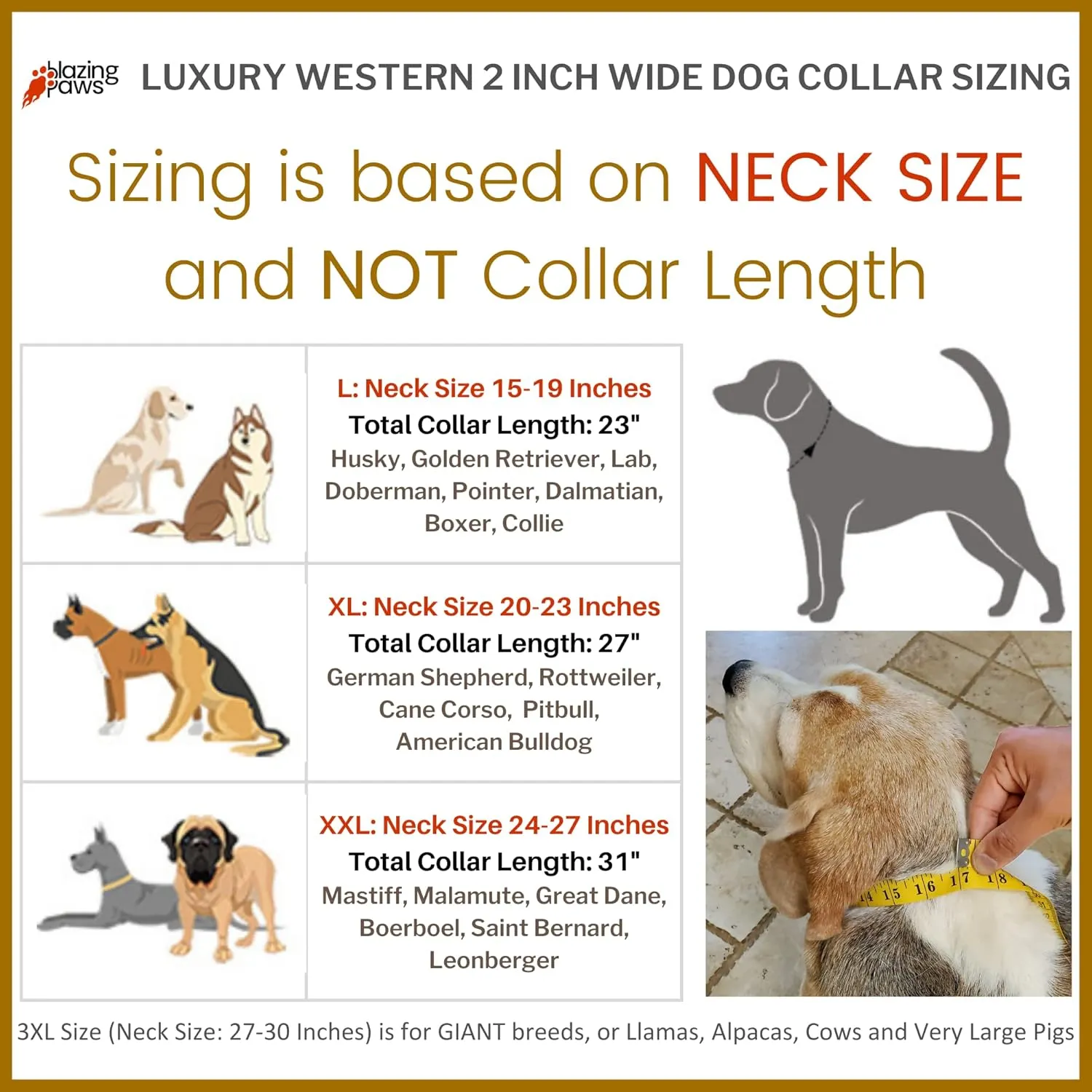 Blazing Paws Darlington Wide 2 inch Luxury Soft Suede Padded Leather Dog Collar for XL Large Dogs, Handmade Stud Crystal Fancy Western Design (XL: Neck Size 20-23", Natural/Brown)