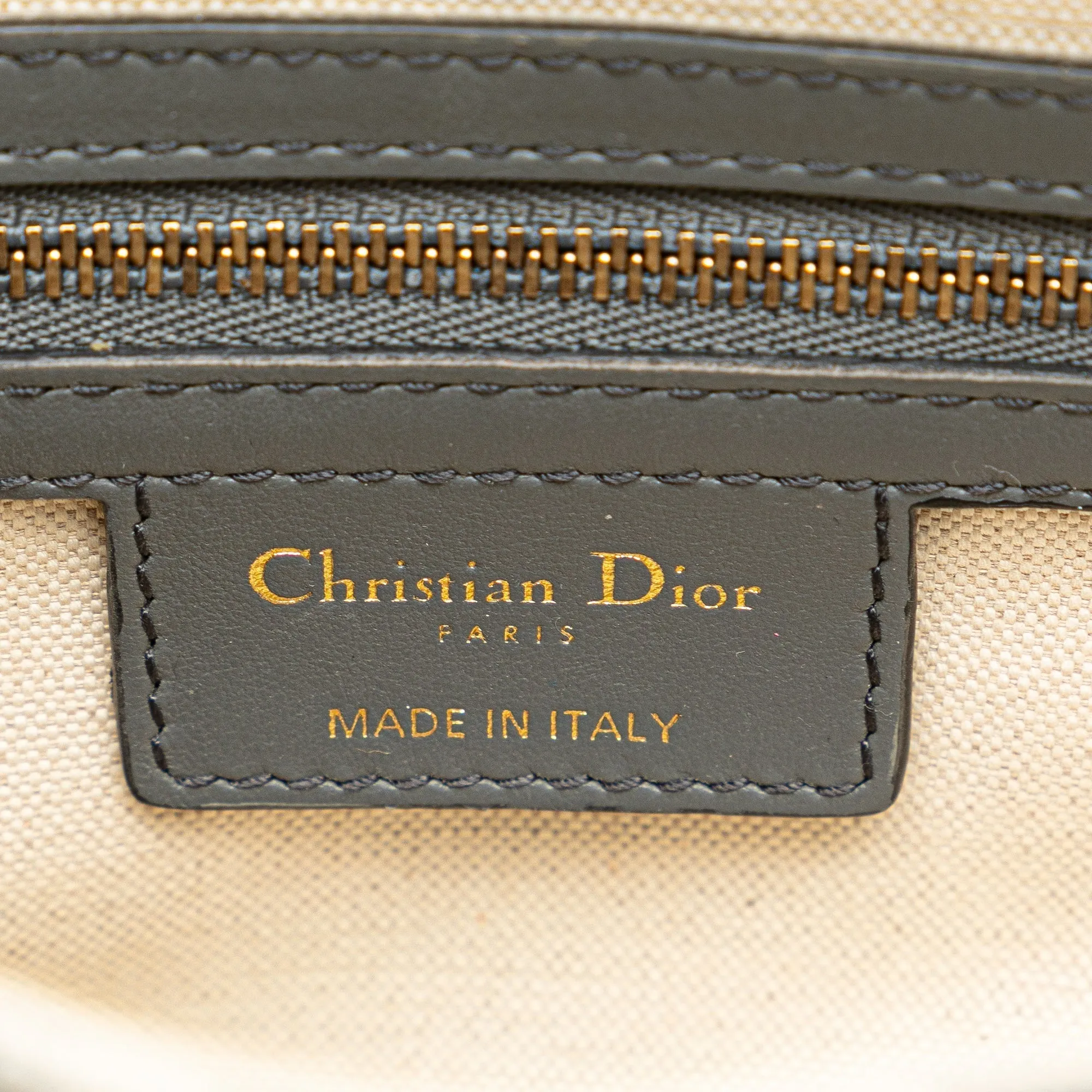 DIOR Medium Toile De Jouy Saddle Shoulder Bag