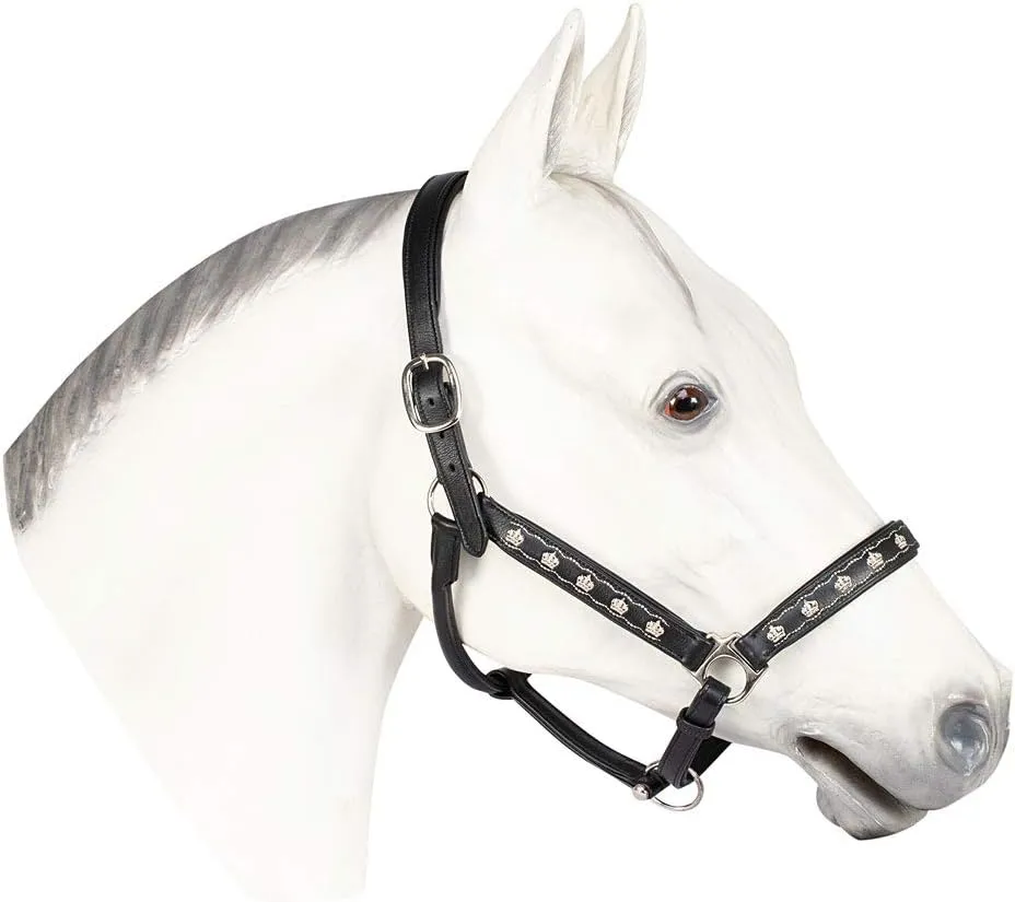 Henri de Rivel Royal Embroidered Leather Halter