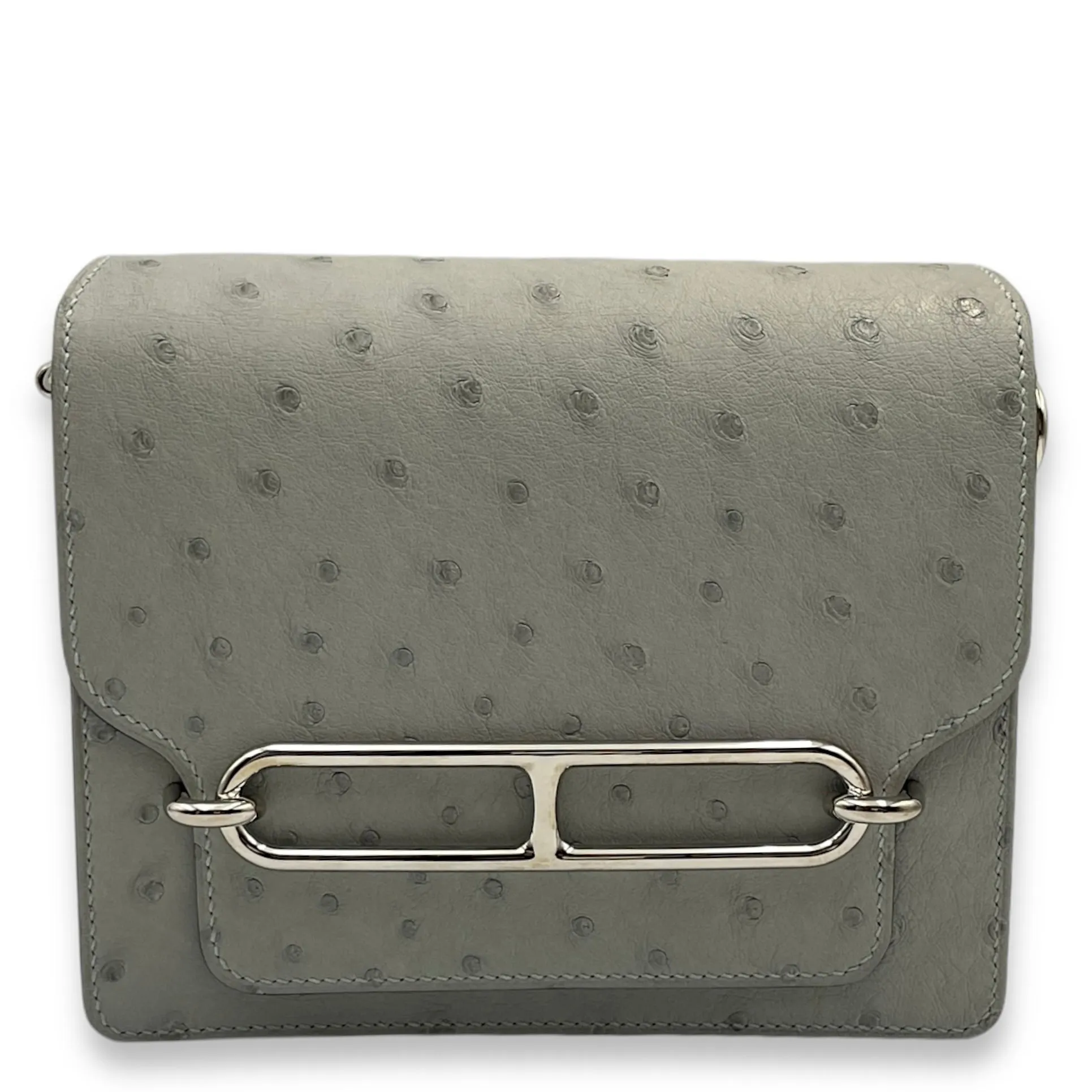 Roulis Mini Blue Glacier in Ostrich, Palladium hardware